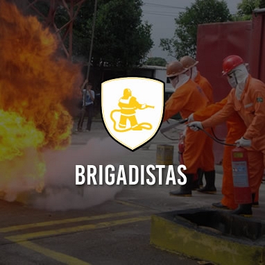 Brigadistas